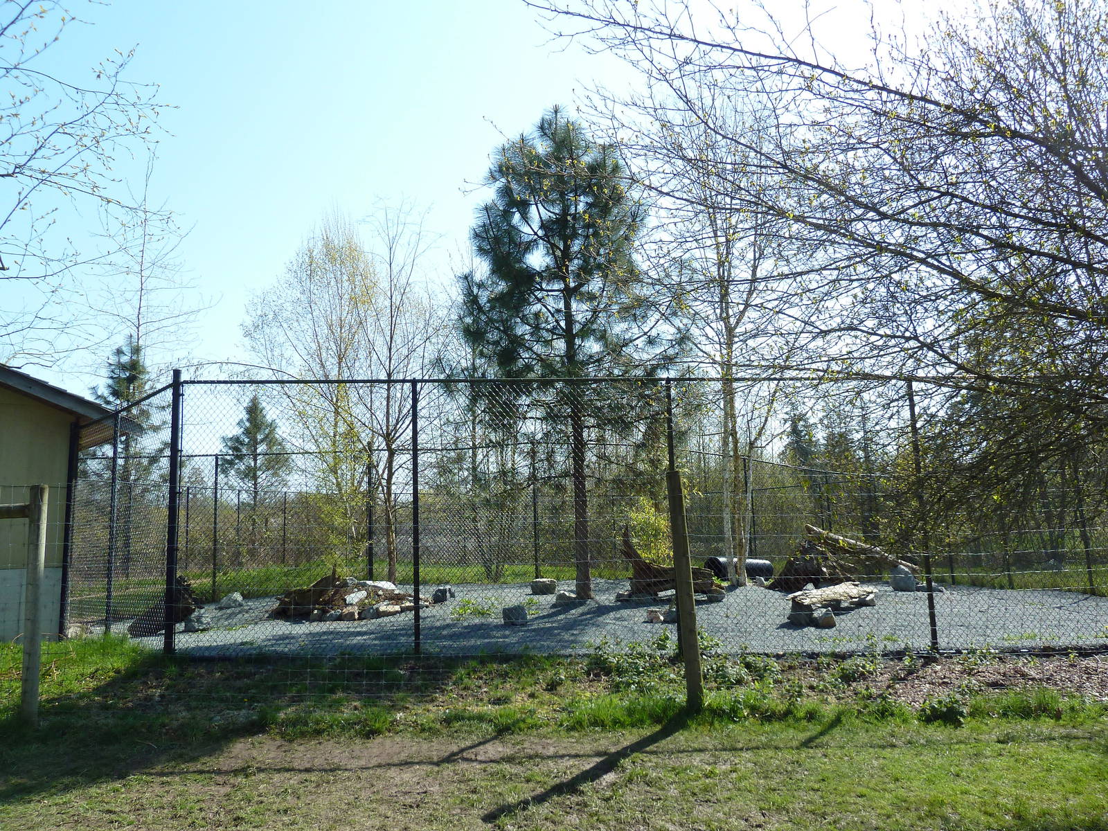 Bat-Eared Fox Exhibit - New In 2011