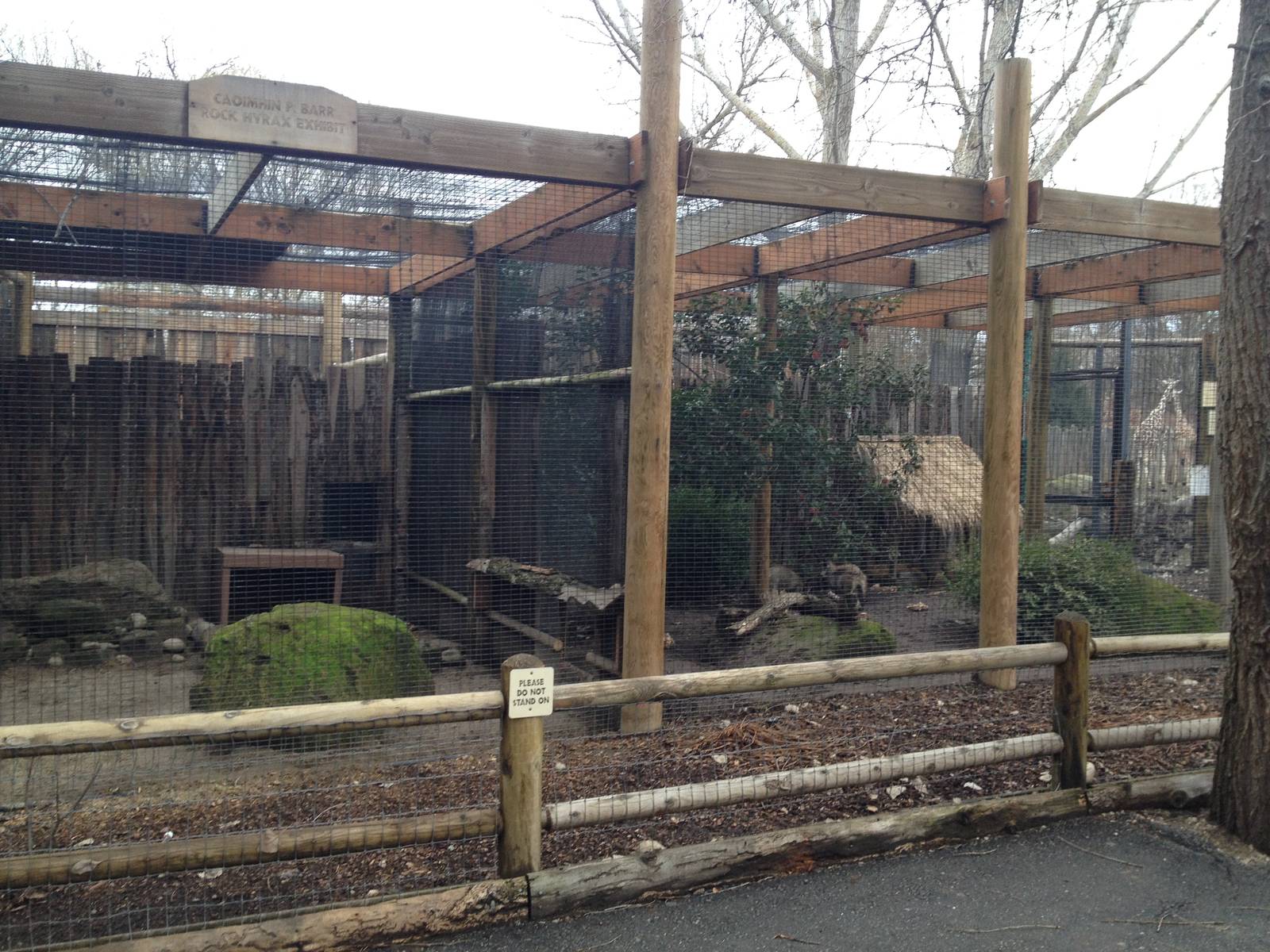 Bat-eared Fox Exhibit