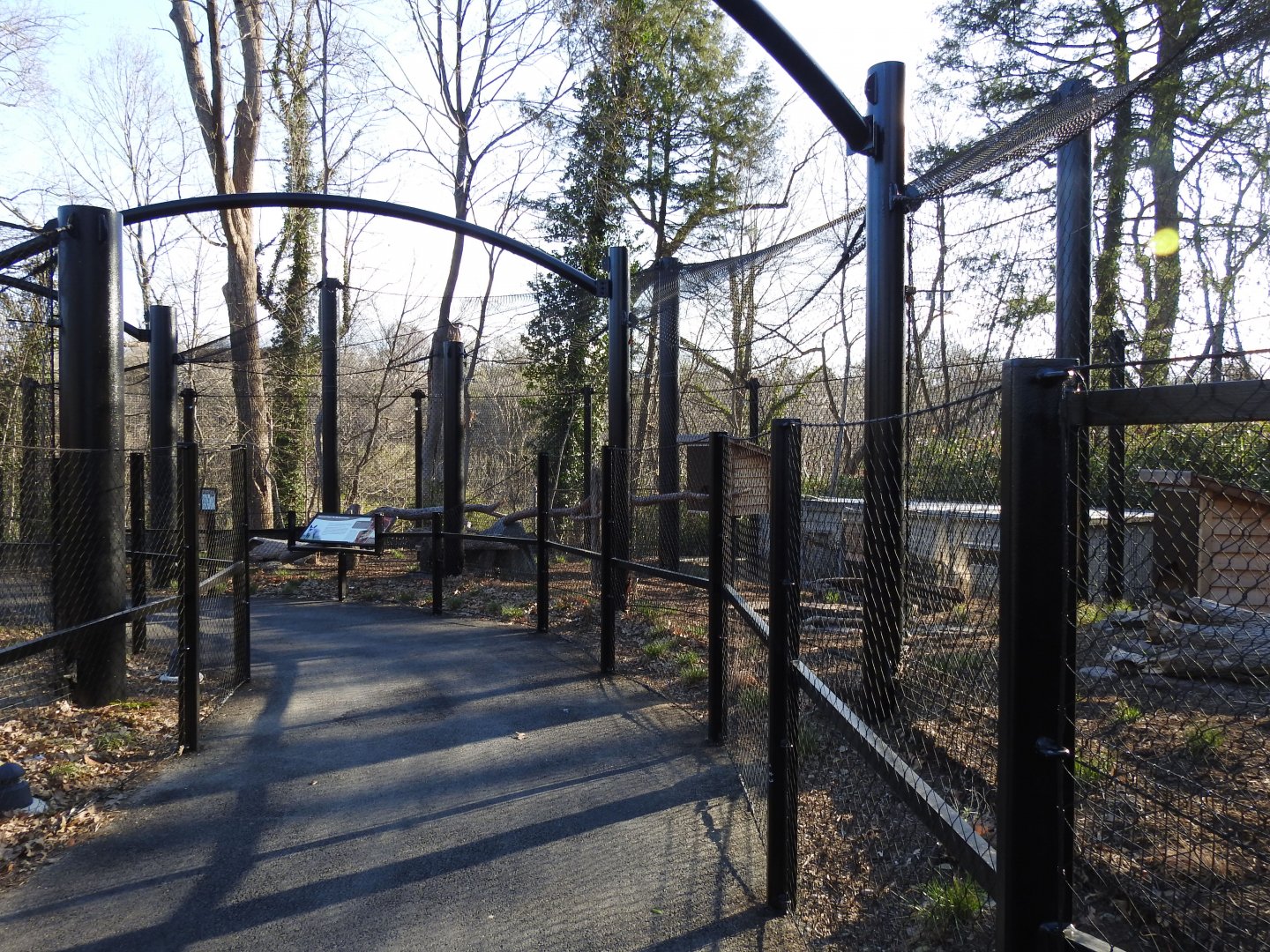 Bat Eared Fox Exhibit