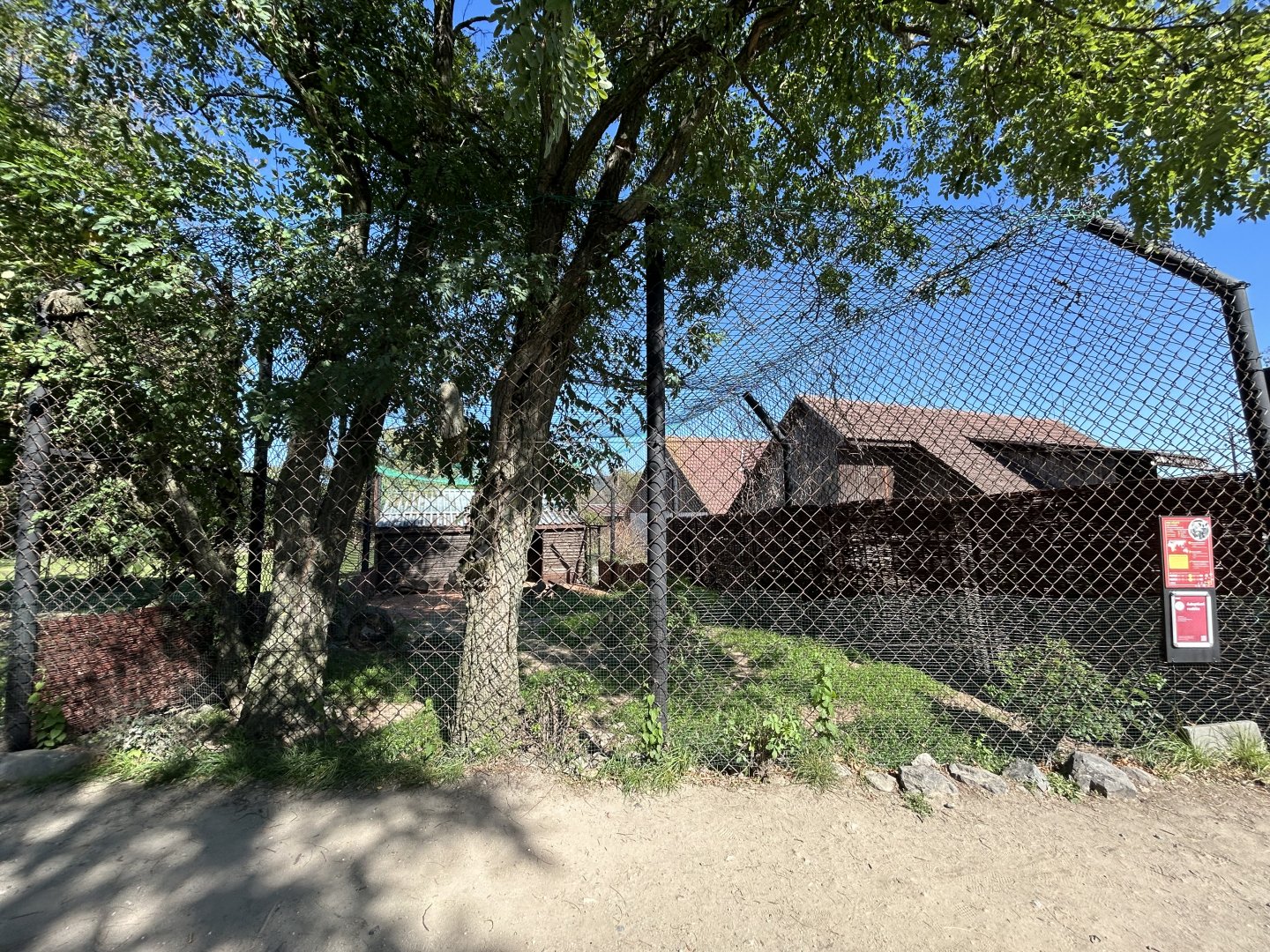 Bat-eared Fox Exhibit