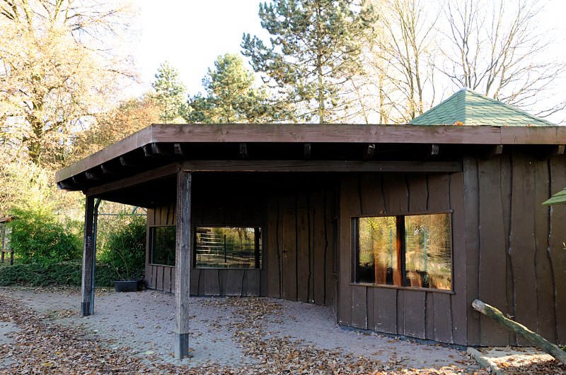 Bat-eared fox house at Dortmund