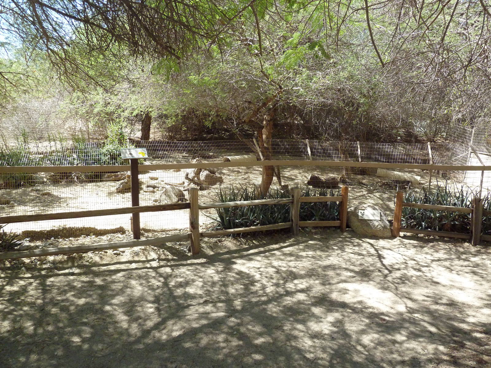 Bat-Eared Fox/Leopard Tortoise Exhibit