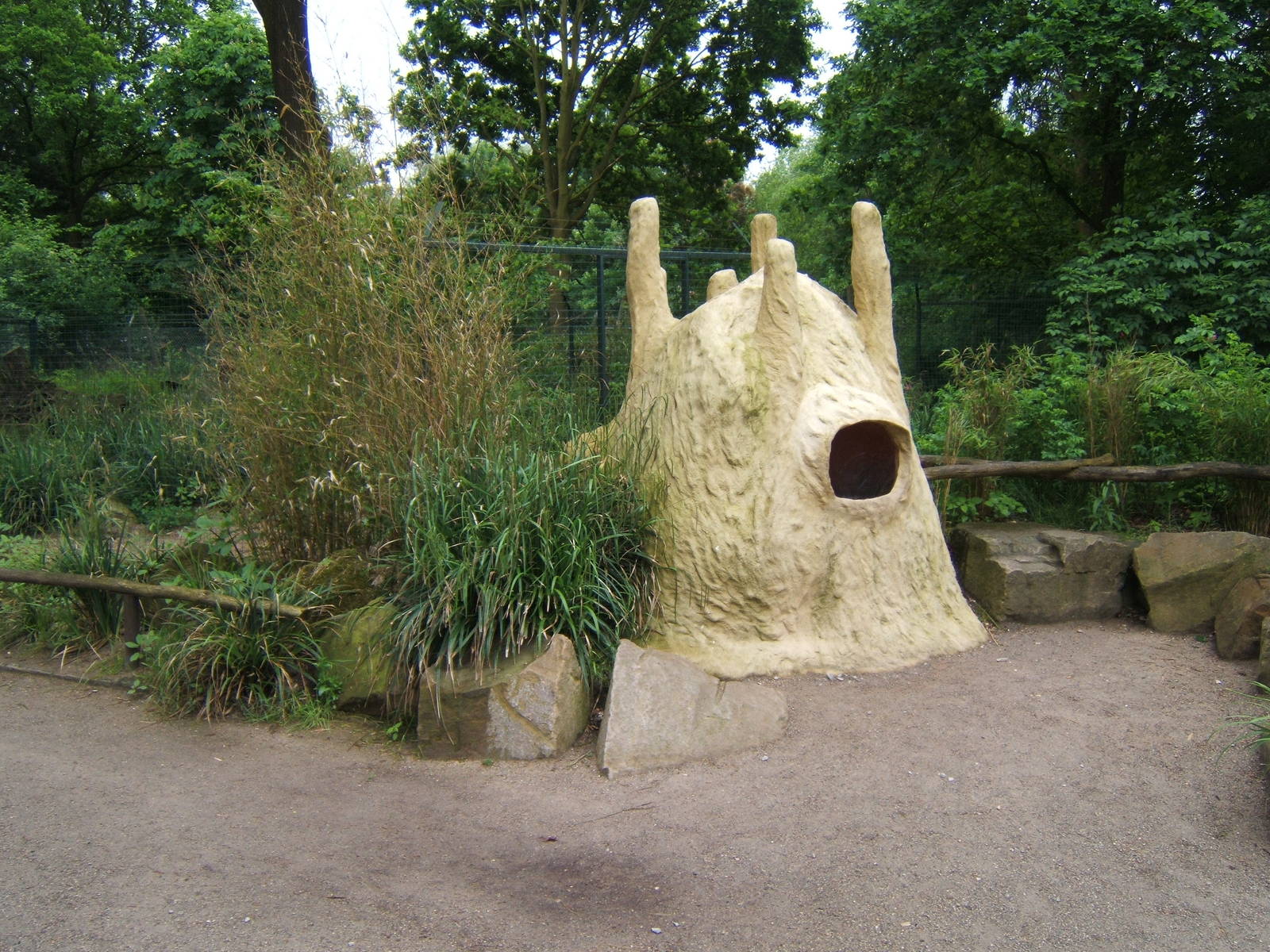 Bat-eared Fox viewing