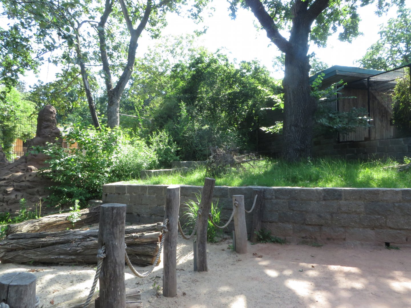 Bat-eared fox walkthrough