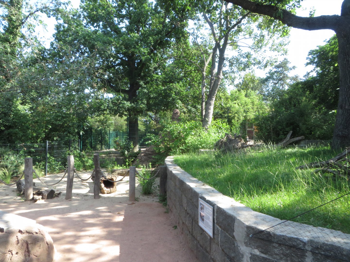 Bat-eared fox walkthrough