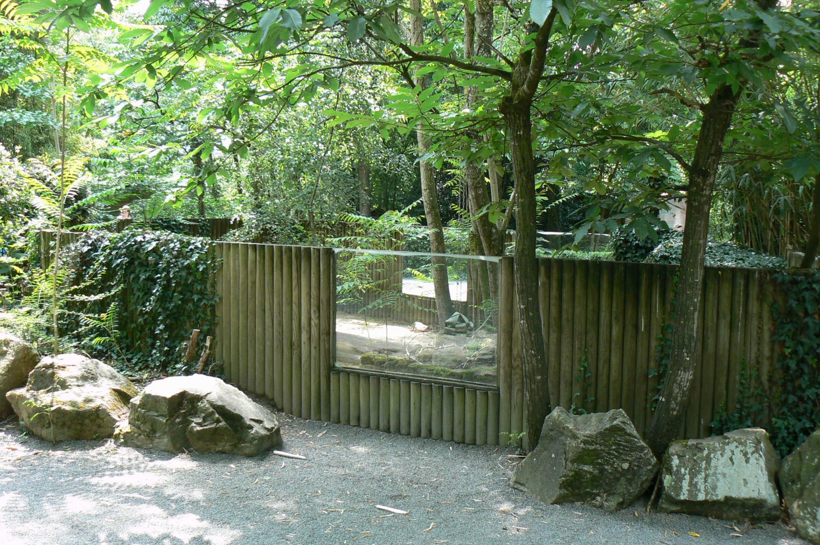 Bat-eared foxes enclosure