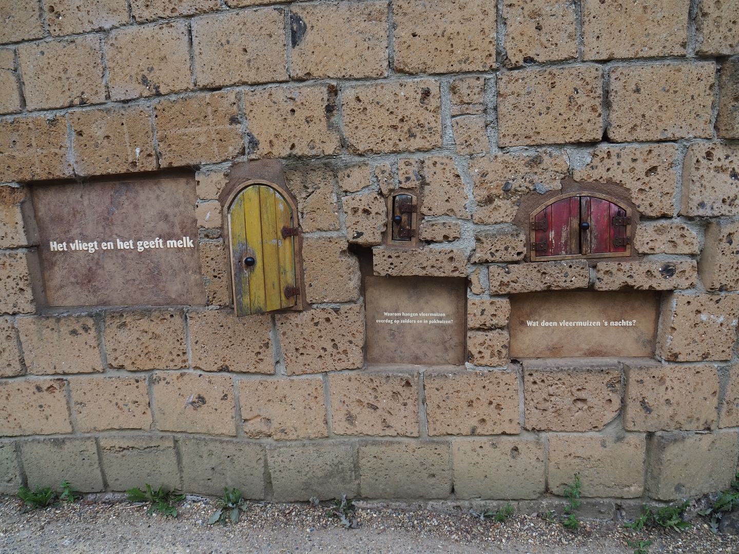 Bat educational displays