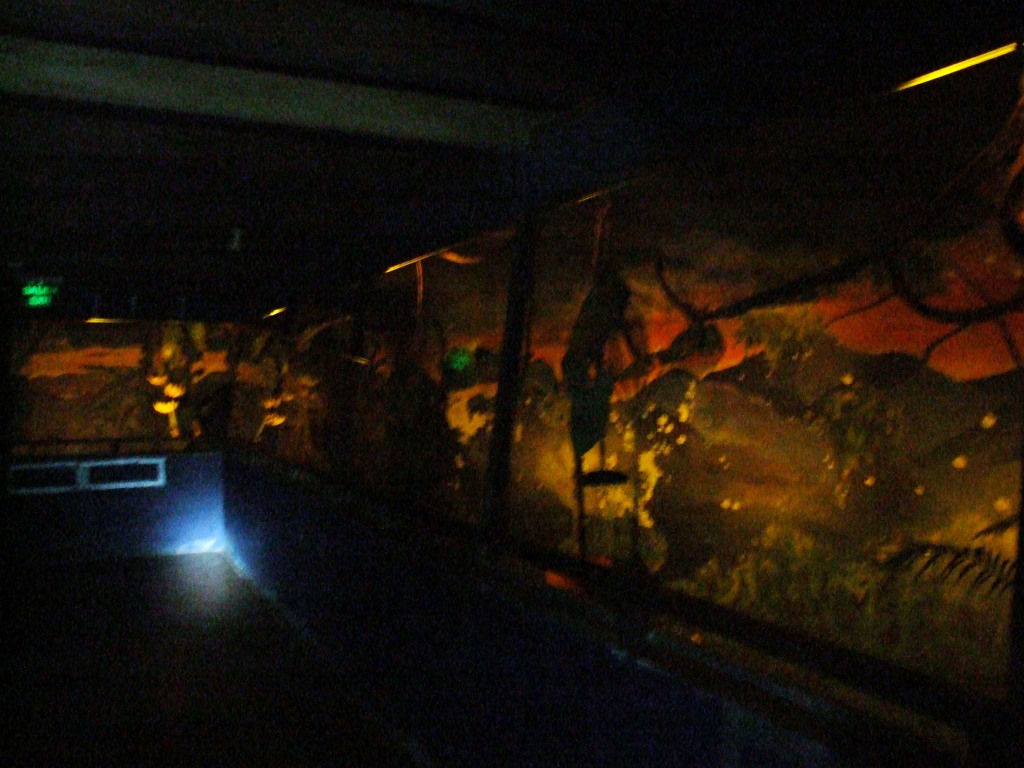 Bat Enclosure at the Bat Jungle, 21/04/14