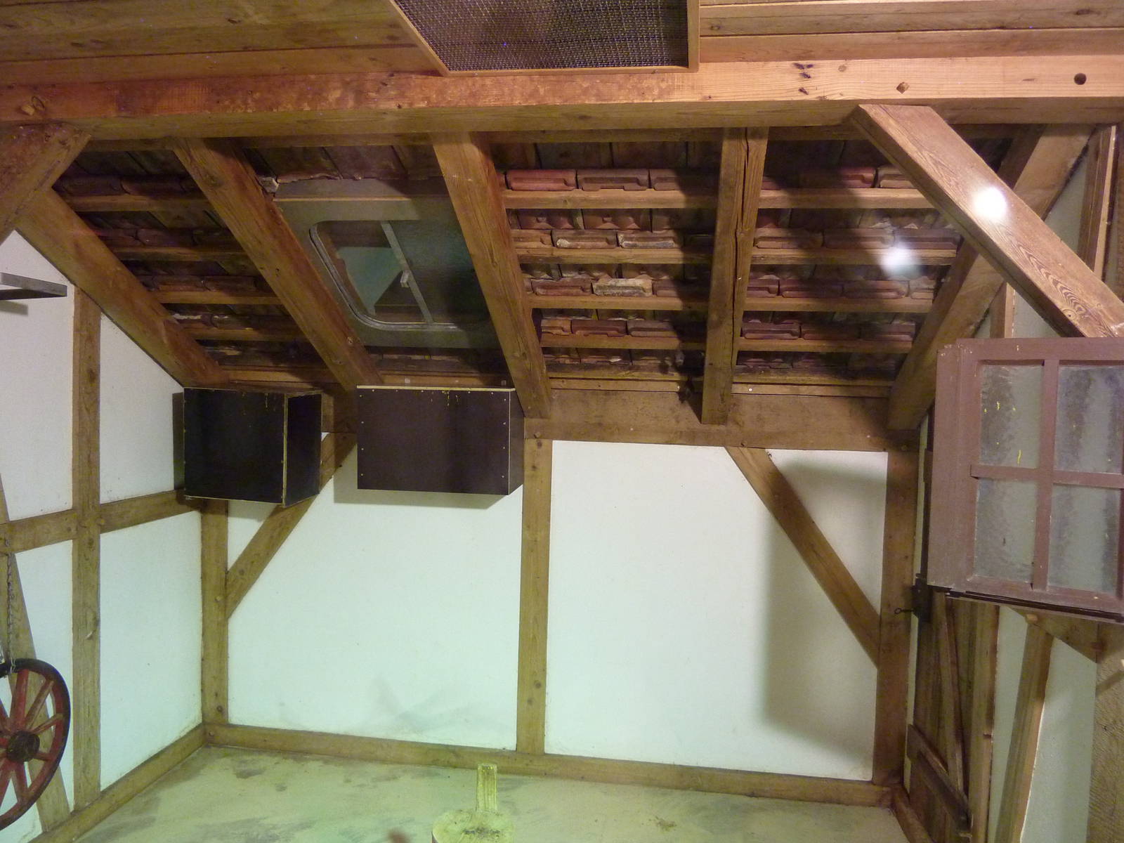 Bat enclosure 'Indoors'