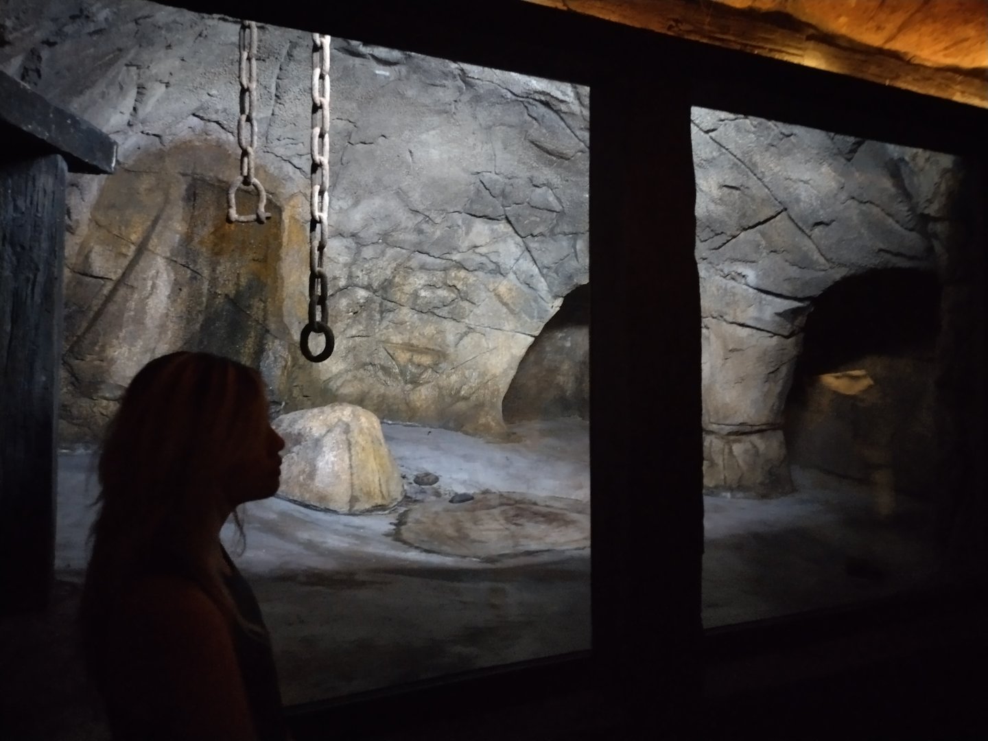 Bat enclosure, with the lights on