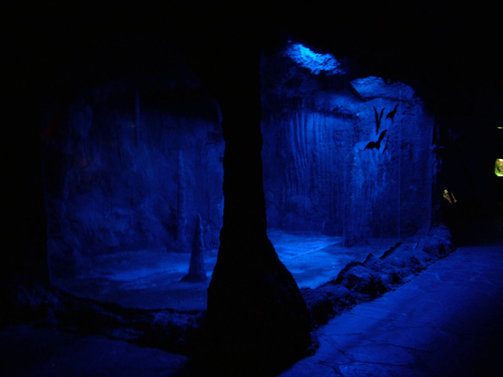 Bat Exhibit at Faunia, 27/05/11