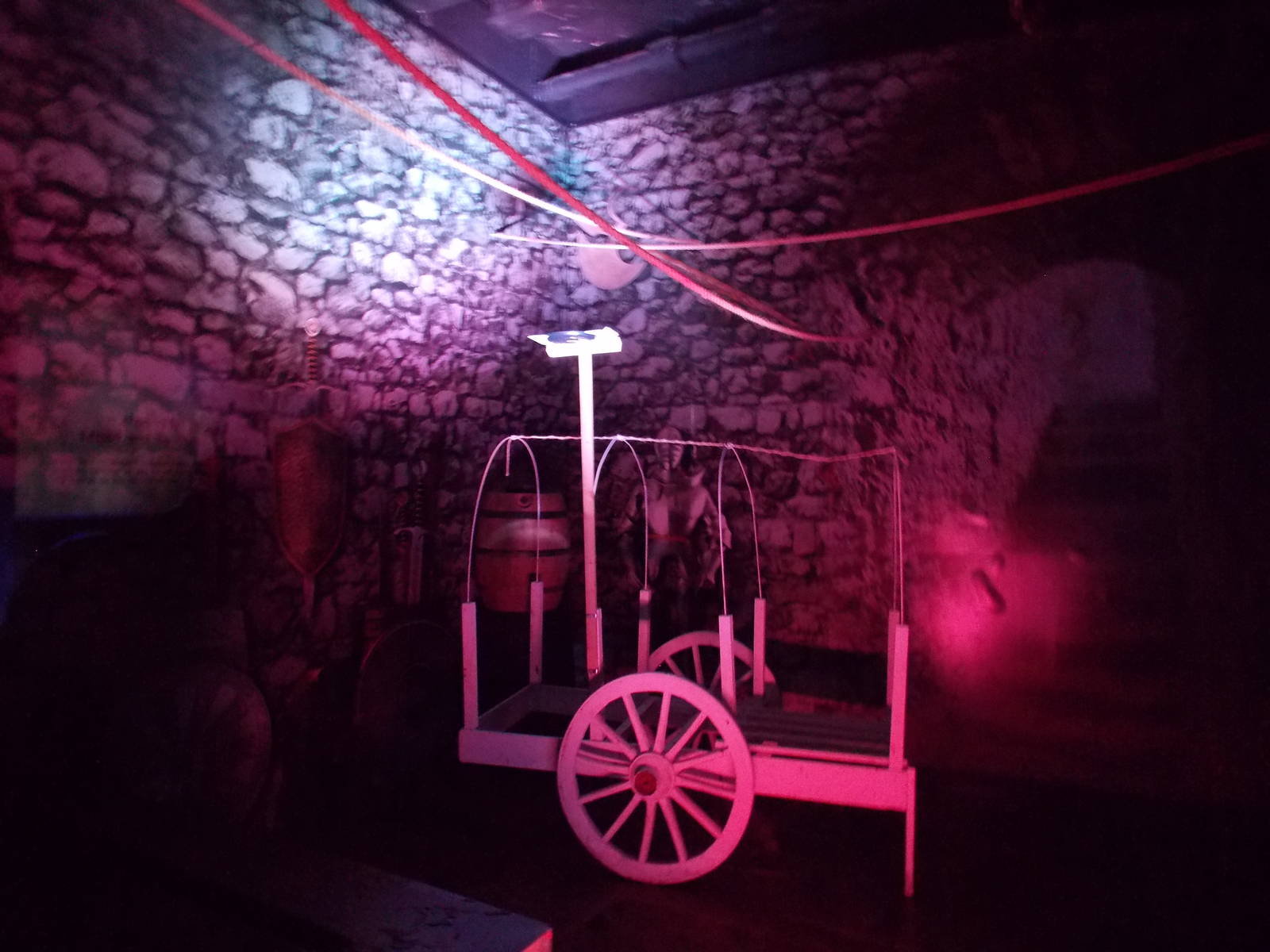 Bat exhibit (first part)