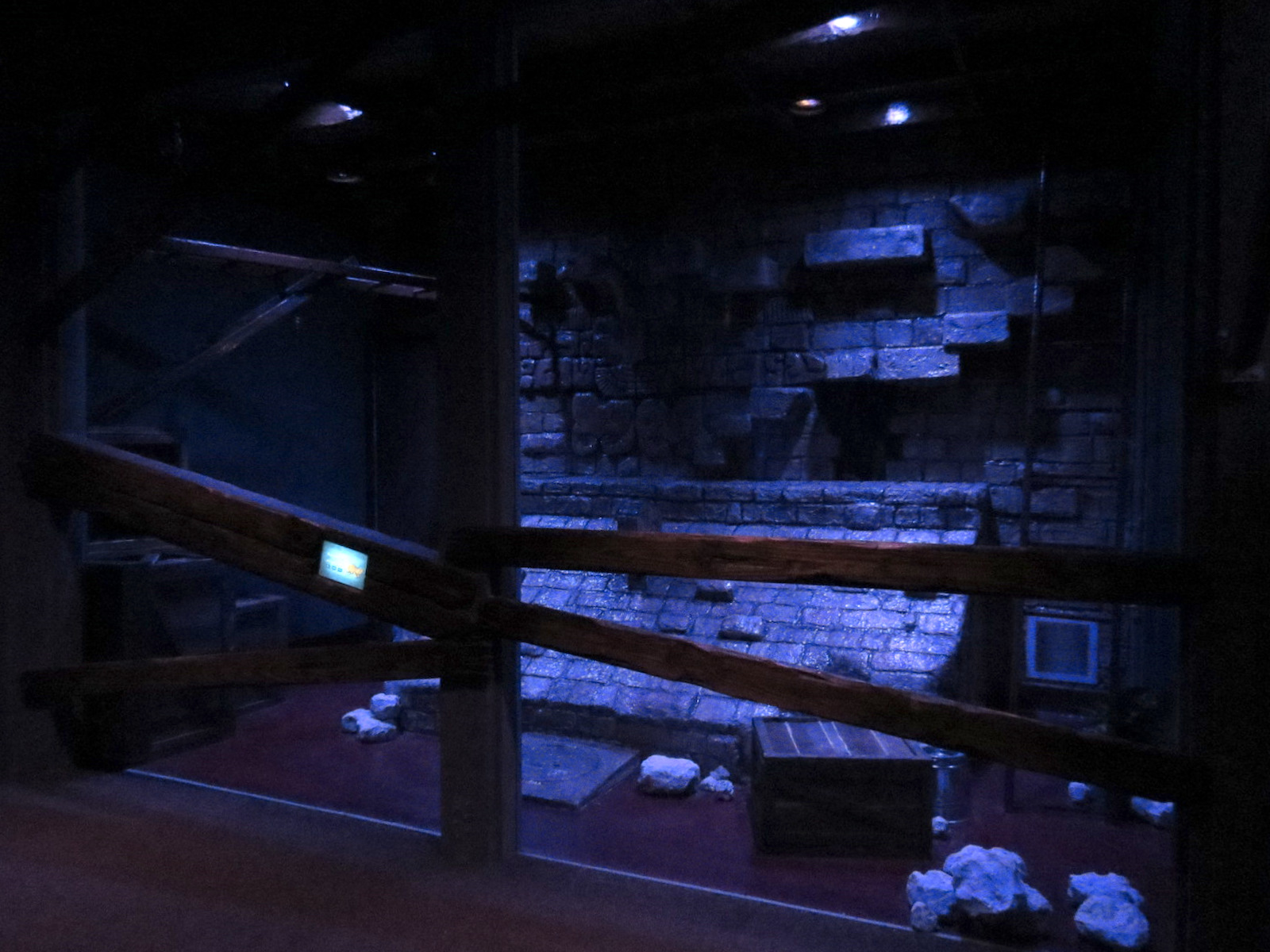 Bat House - Ring-tailed Cat Exhibit