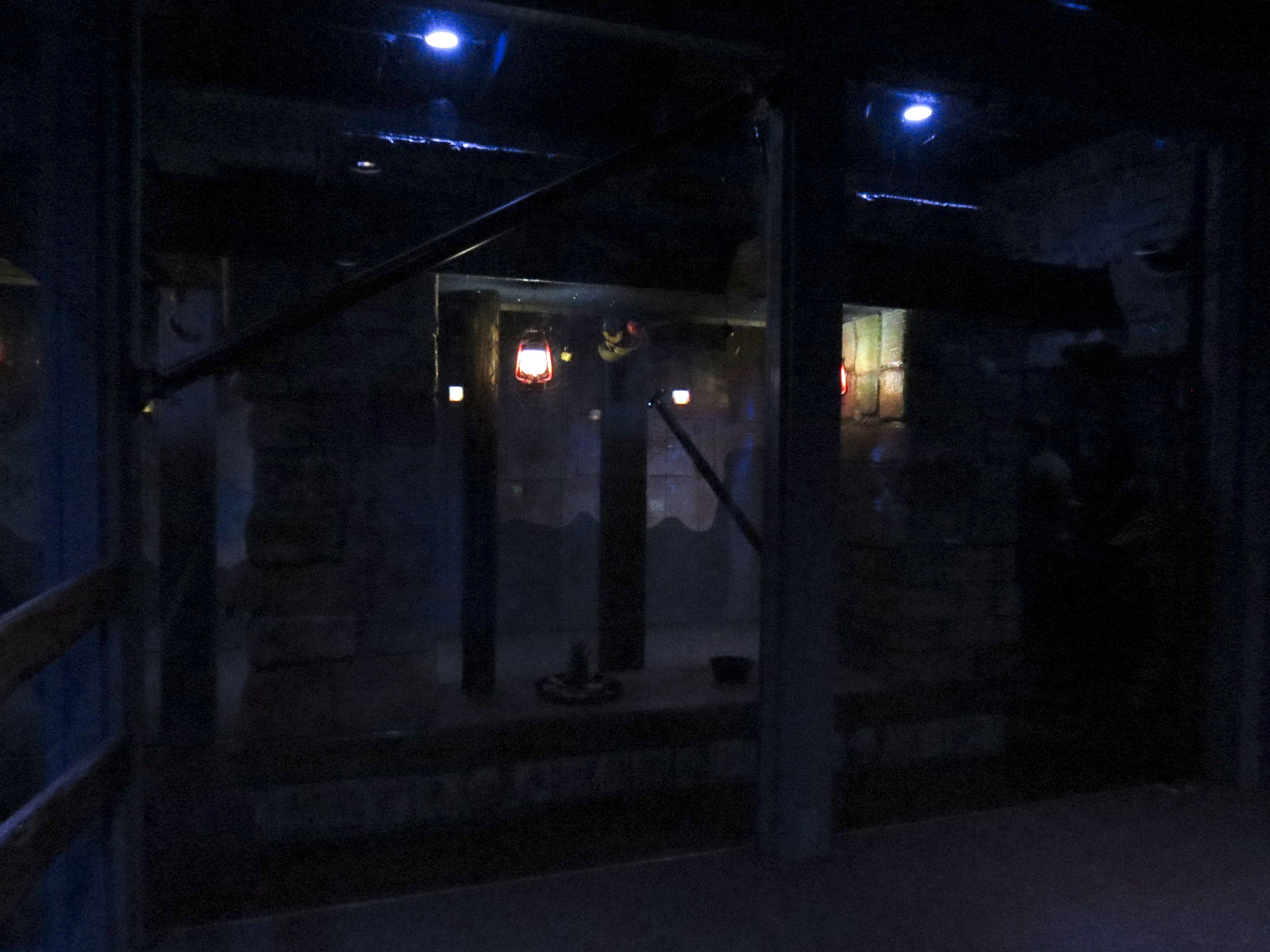 Bat House - Seba's Short-tailed Bat Exhibit