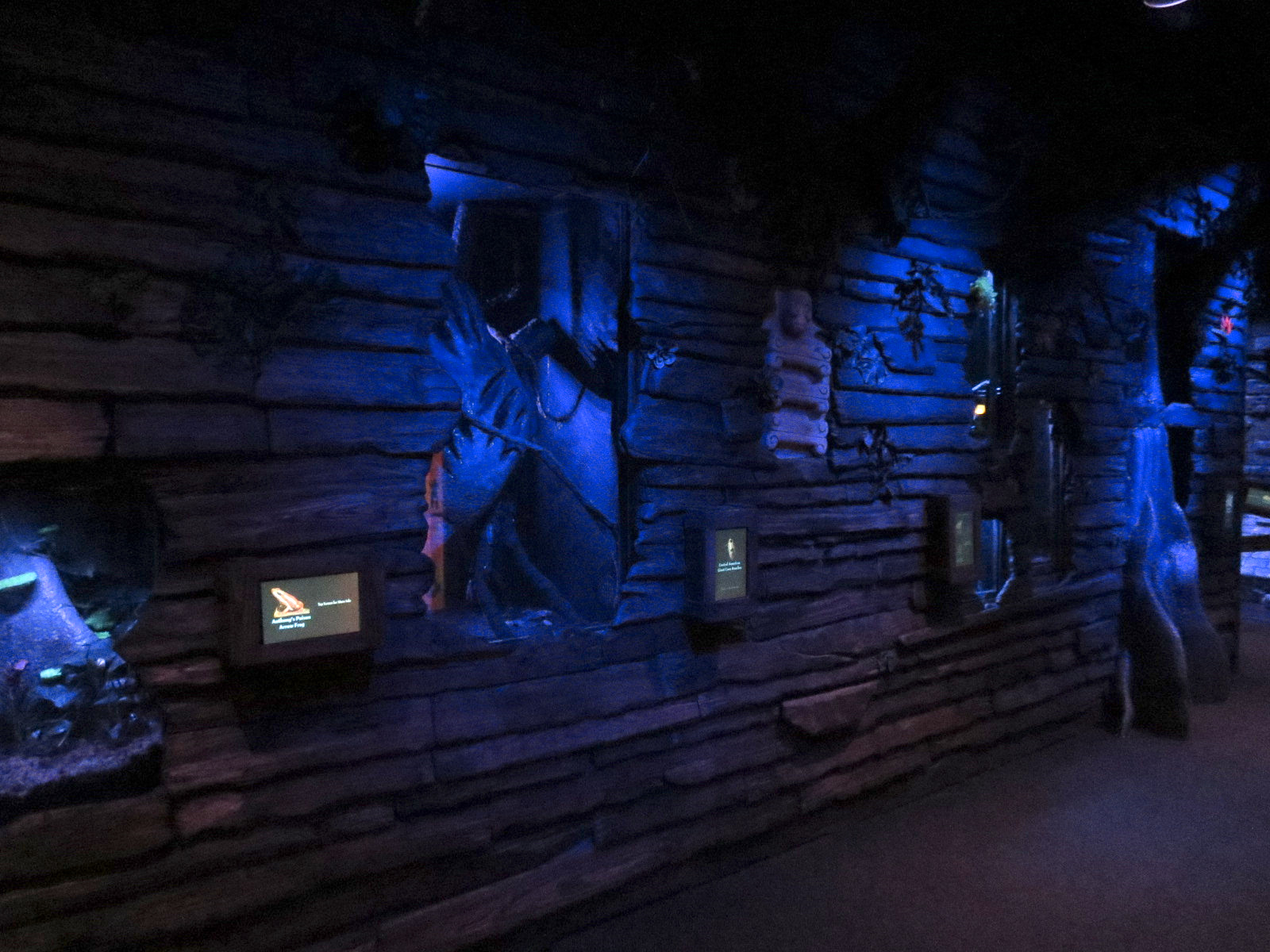 Bat House - Various Small Wall Exhibits