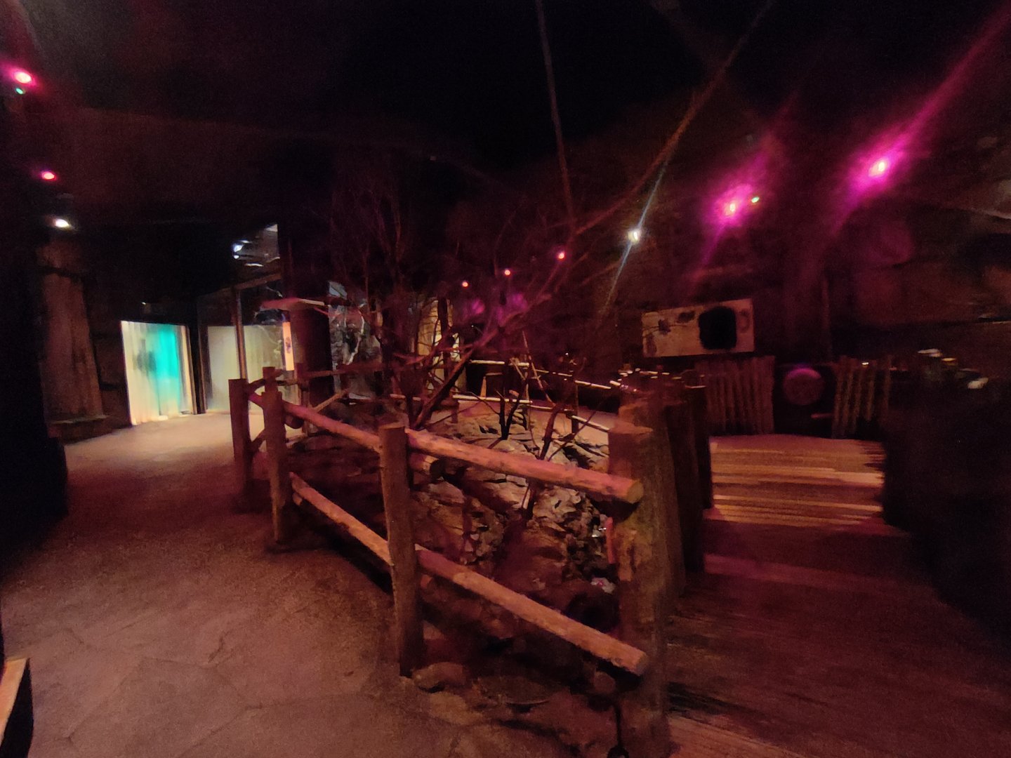 Bat walk-through enclosure