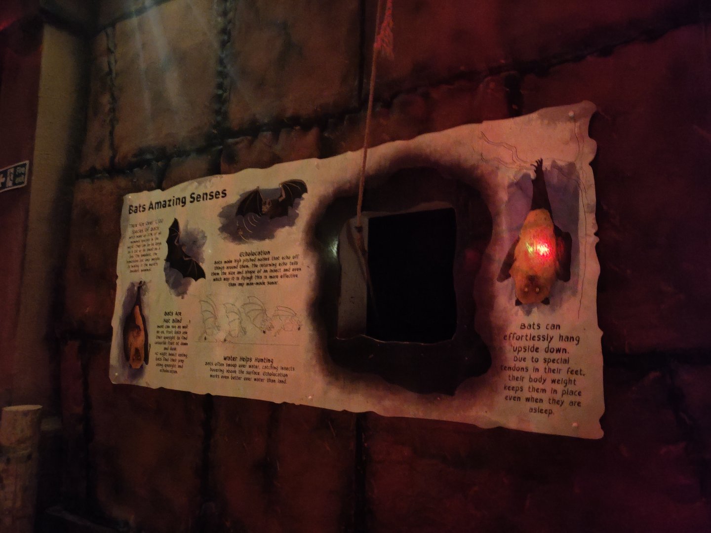 Bat walk-through signage