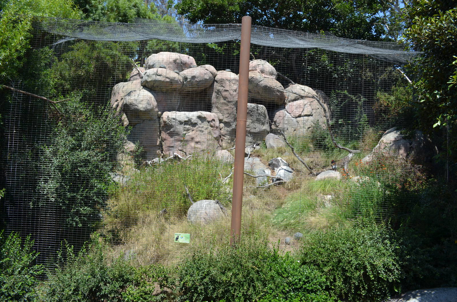 Bataleur Eagle Aviary