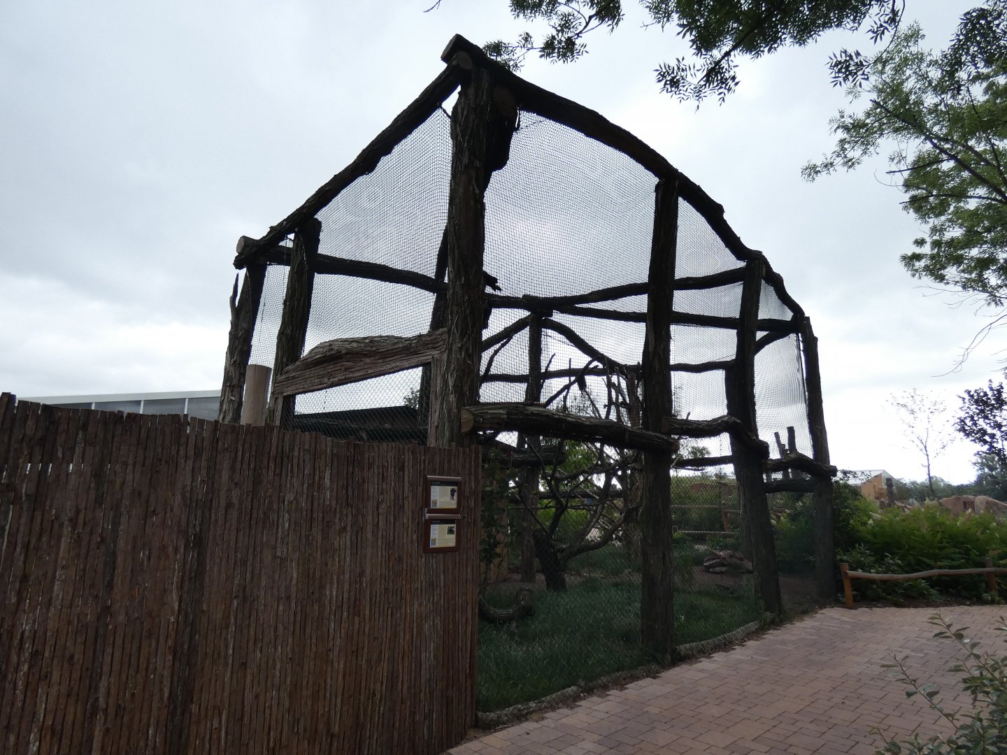 Bateleur and White-necked Raven Aviary