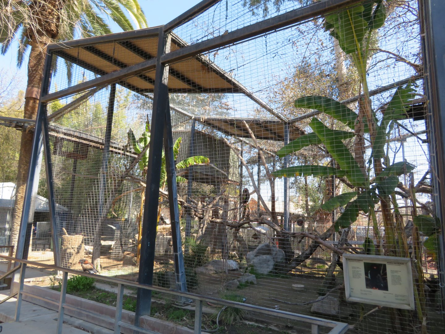 Bateleur Eagle Aviary