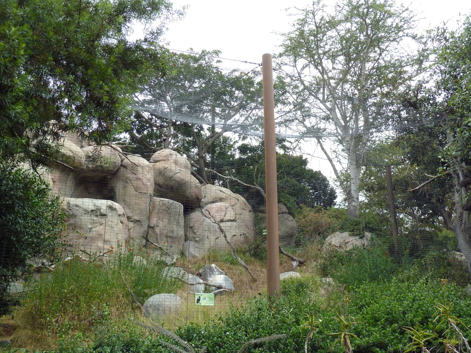 Bateleur Eagle Exhibit