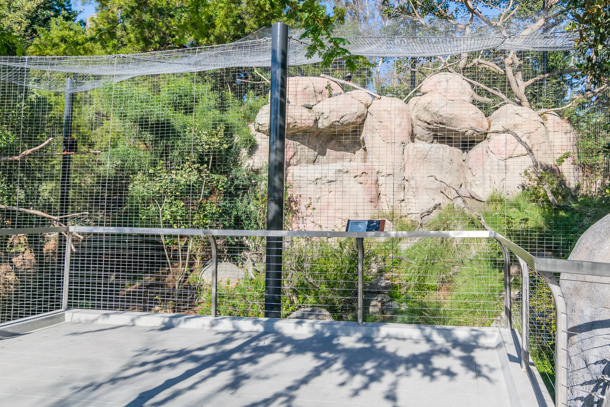 Bateleur Eagle exhibit