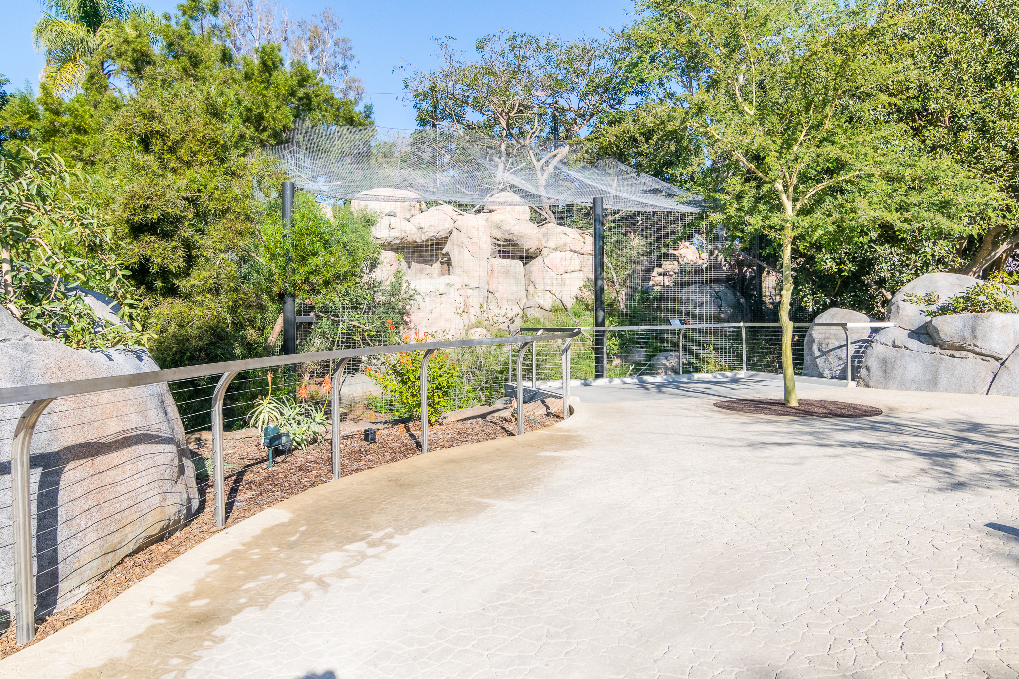Bateleur Eagle exhibit