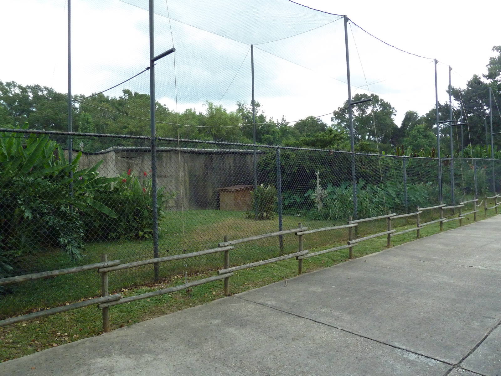 Baton Rouge Zoo - African Aviary (2 Species)