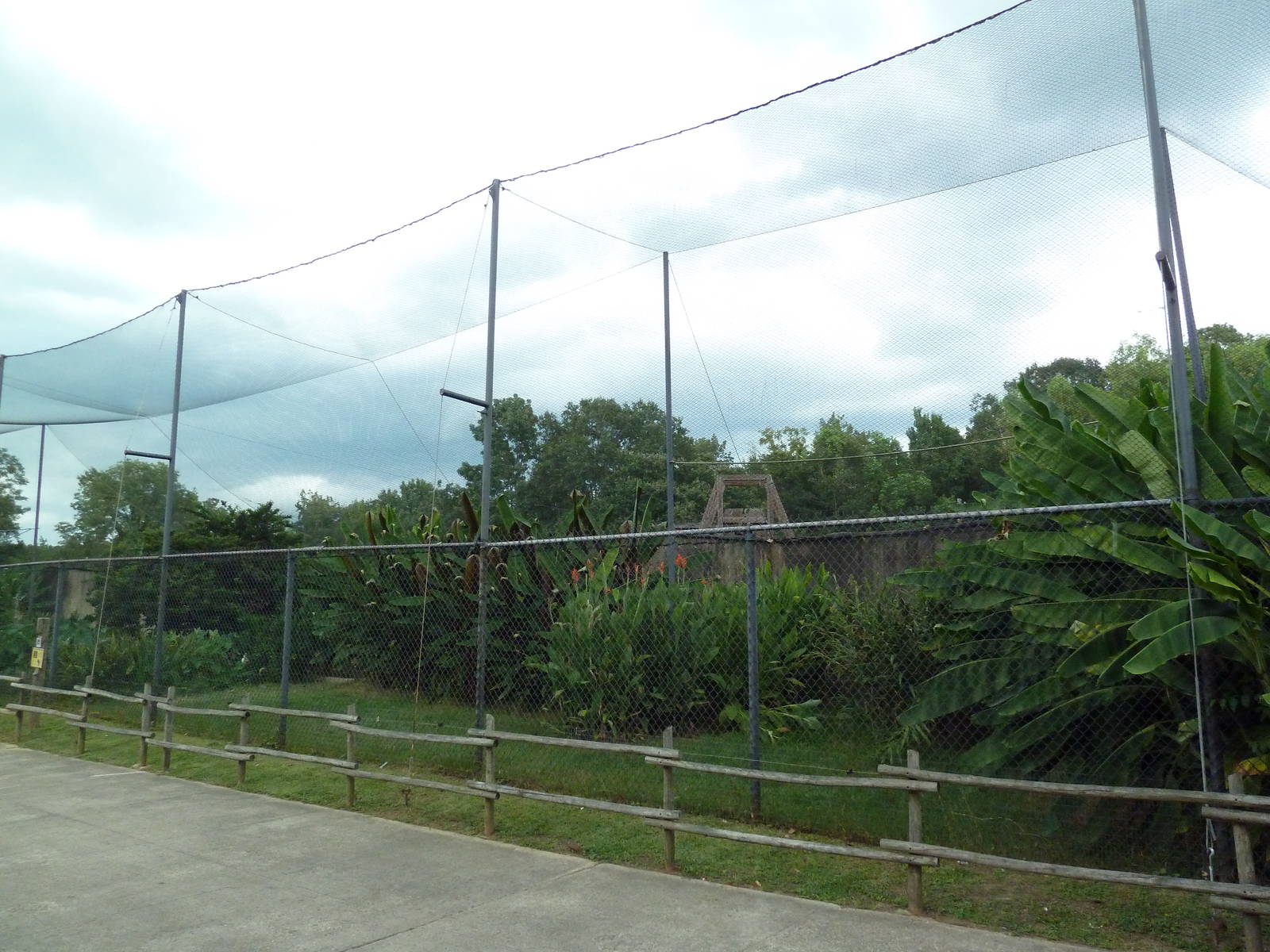 Baton Rouge Zoo - African Aviary (2 Species)
