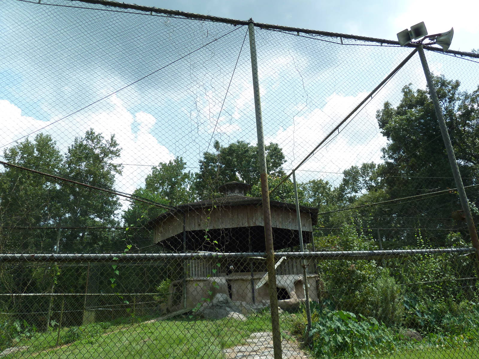 Baton Rouge Zoo - Andean Condor Exhibit