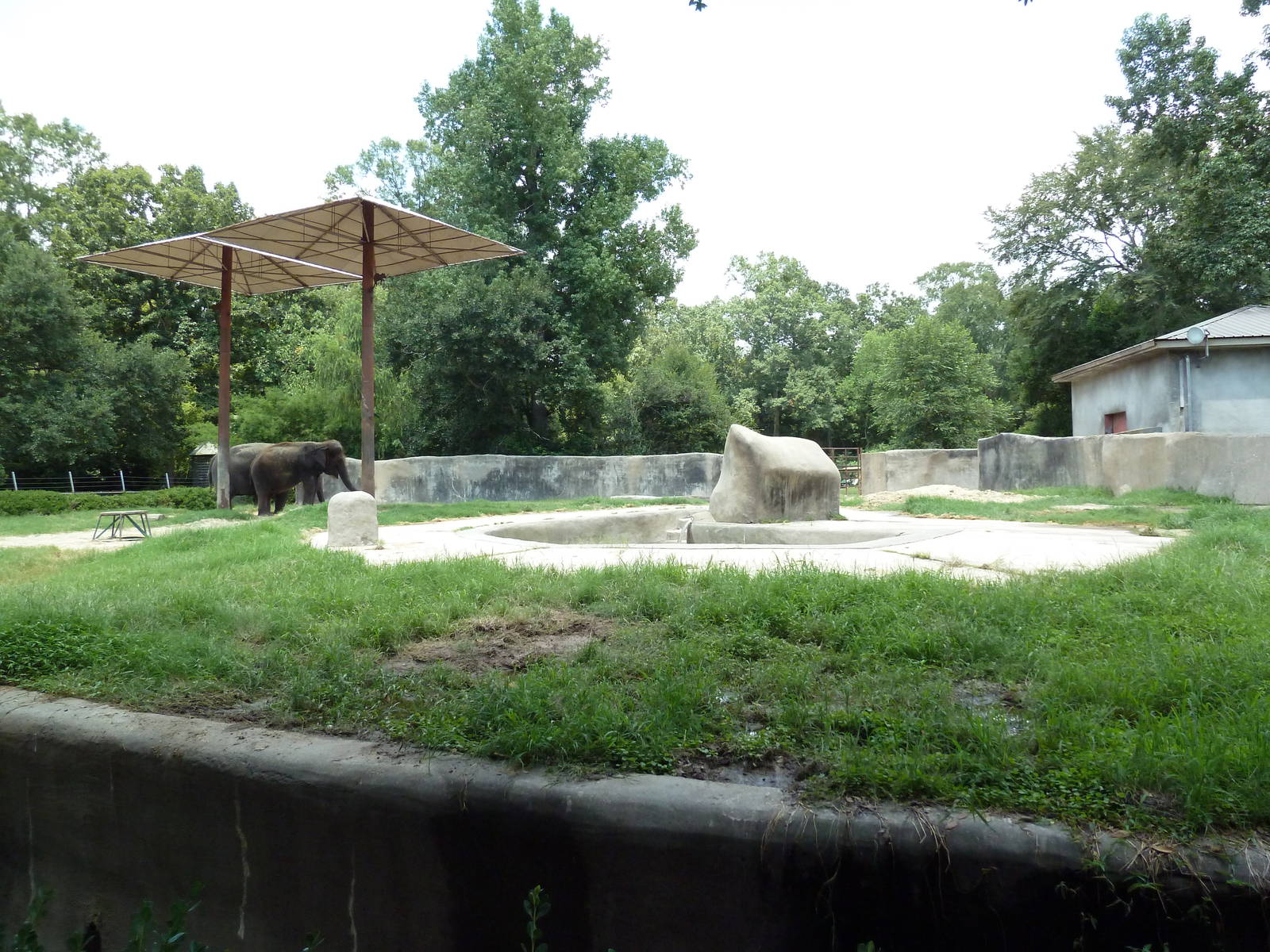 Baton Rouge Zoo - Asian Elephant Exhibit