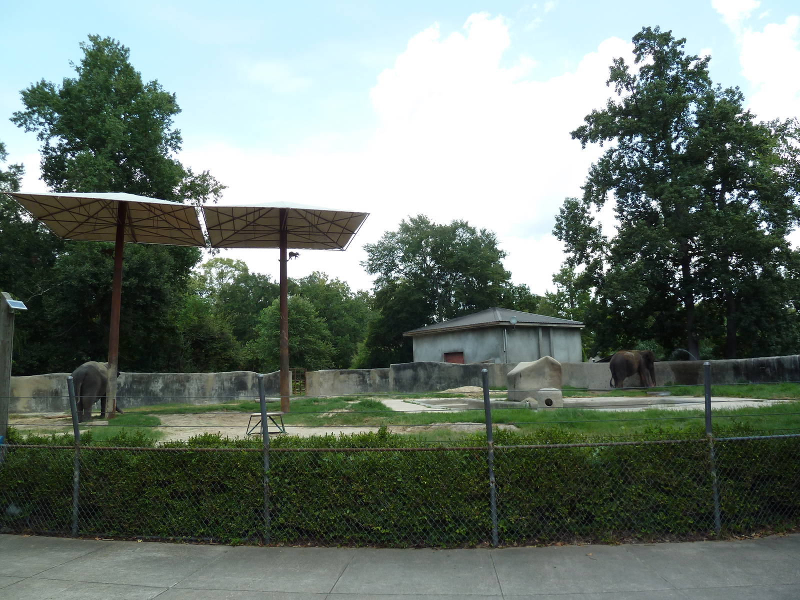 Baton Rouge Zoo - Asian Elephant Exhibit
