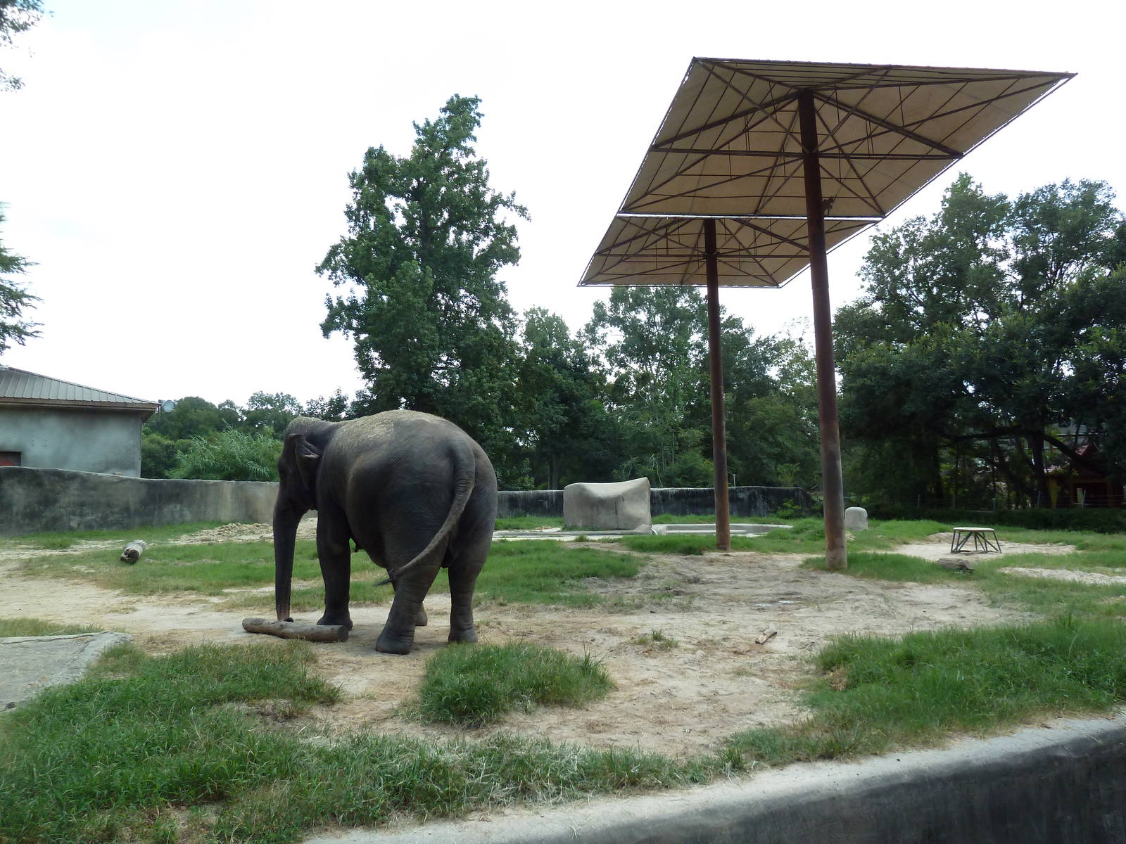 Baton Rouge Zoo - Asian Elephant Exhibit