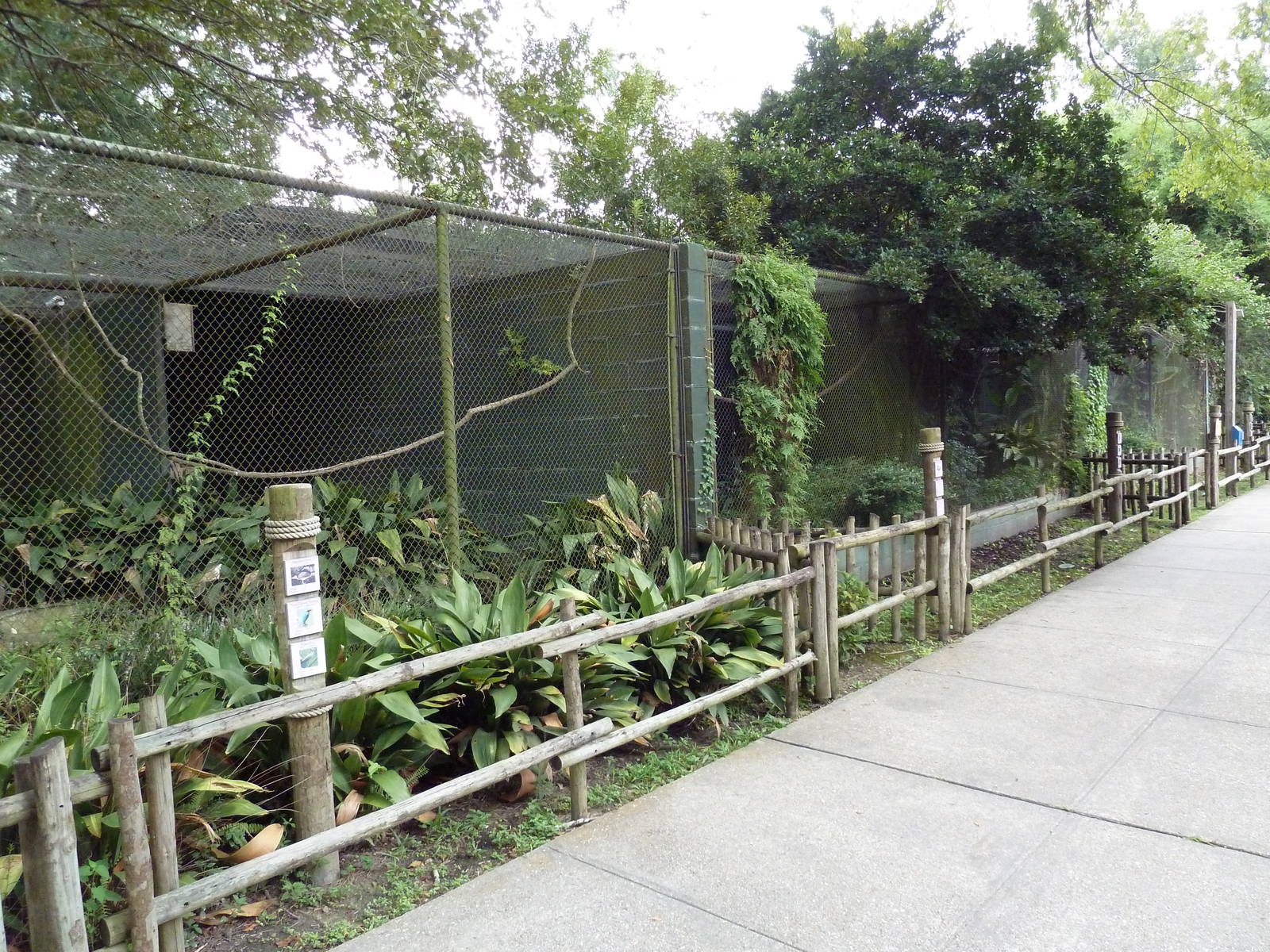 Baton Rouge Zoo - Assorted Exhibits