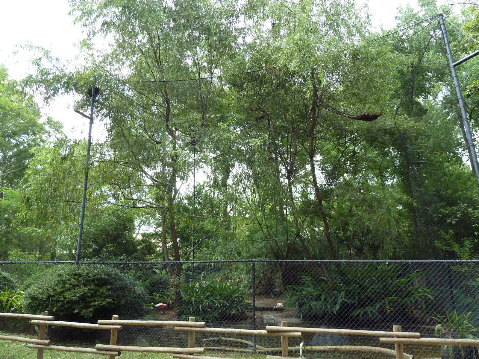 Baton Rouge Zoo - Aviary (5 Species)