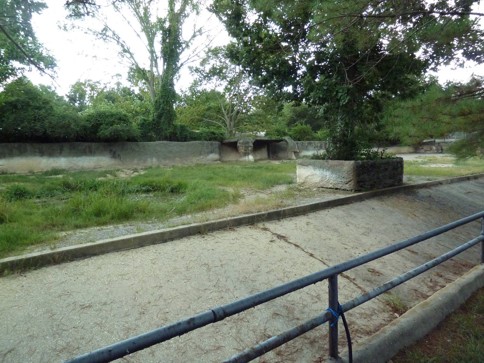Baton Rouge Zoo - Black Rhino Exhibit