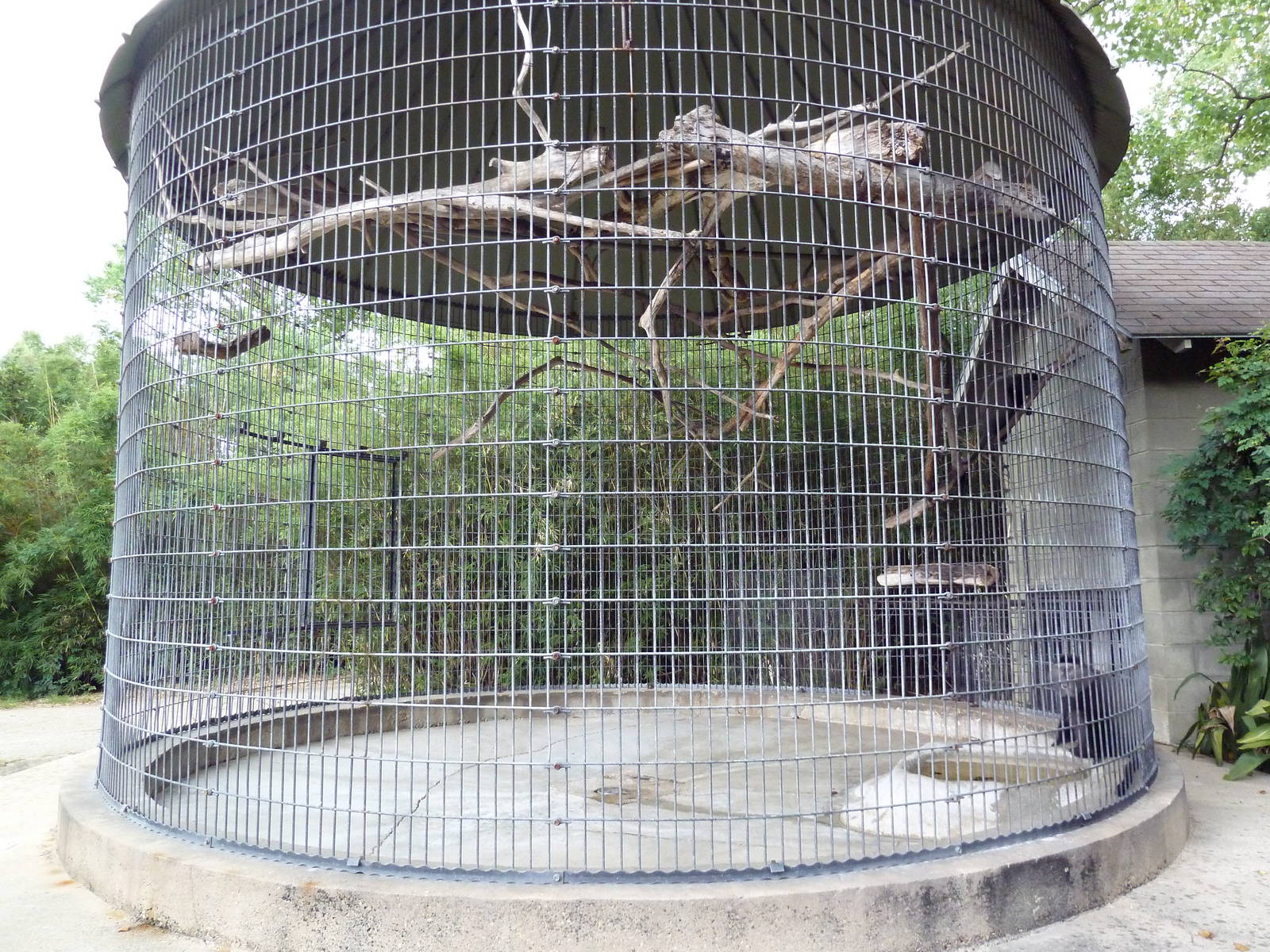 Baton Rouge Zoo - Blue Monkey Corn Crib Cage