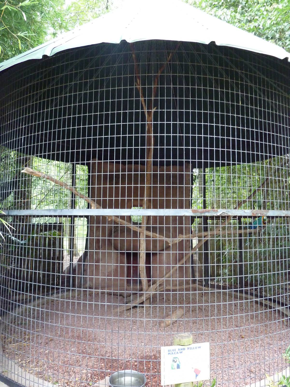 Baton Rouge Zoo - Blue + Yellow Macaw Corn-Crib Cage