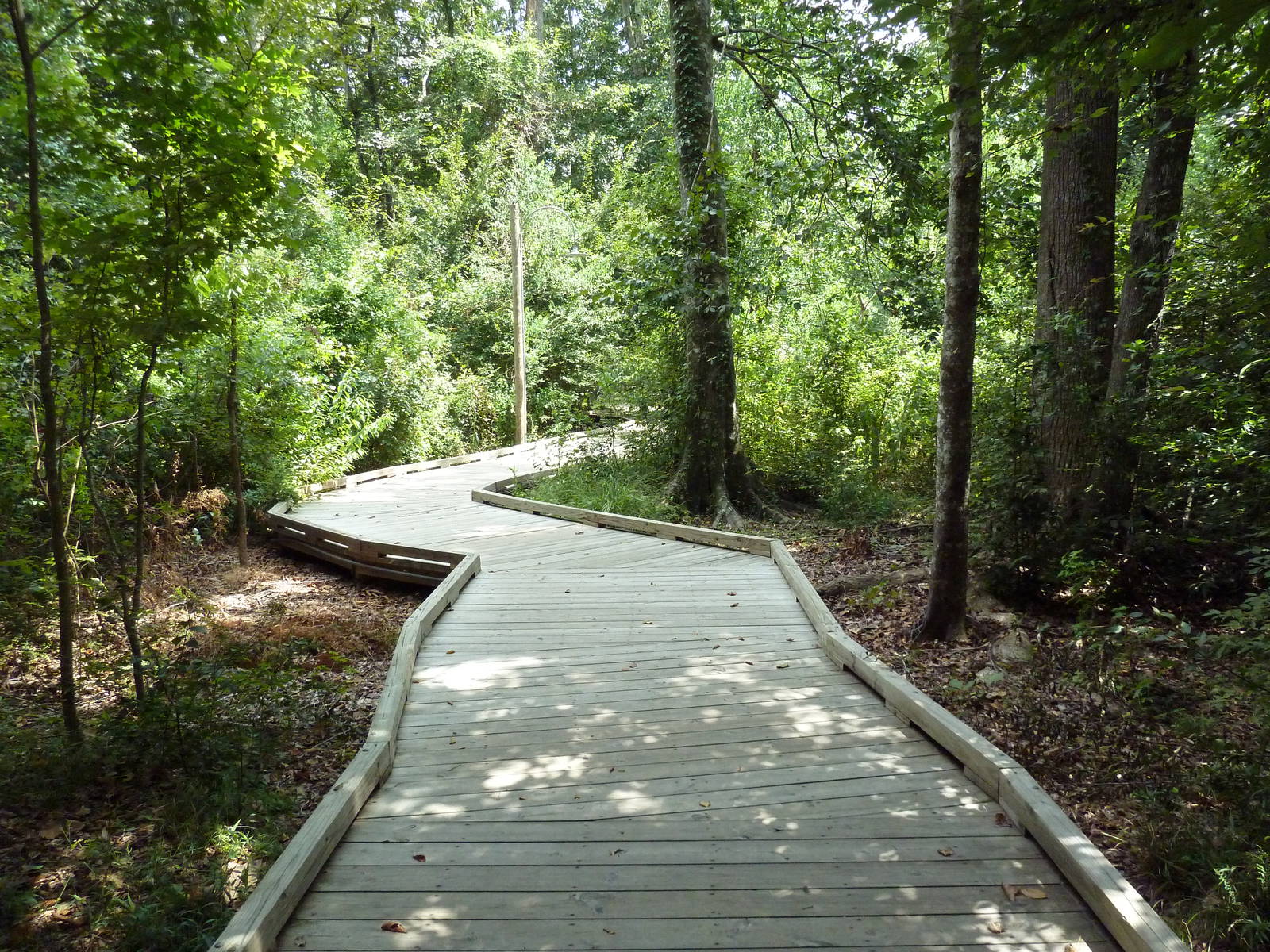 Baton Rouge Zoo - Boardwalk To River Otter Exhibit