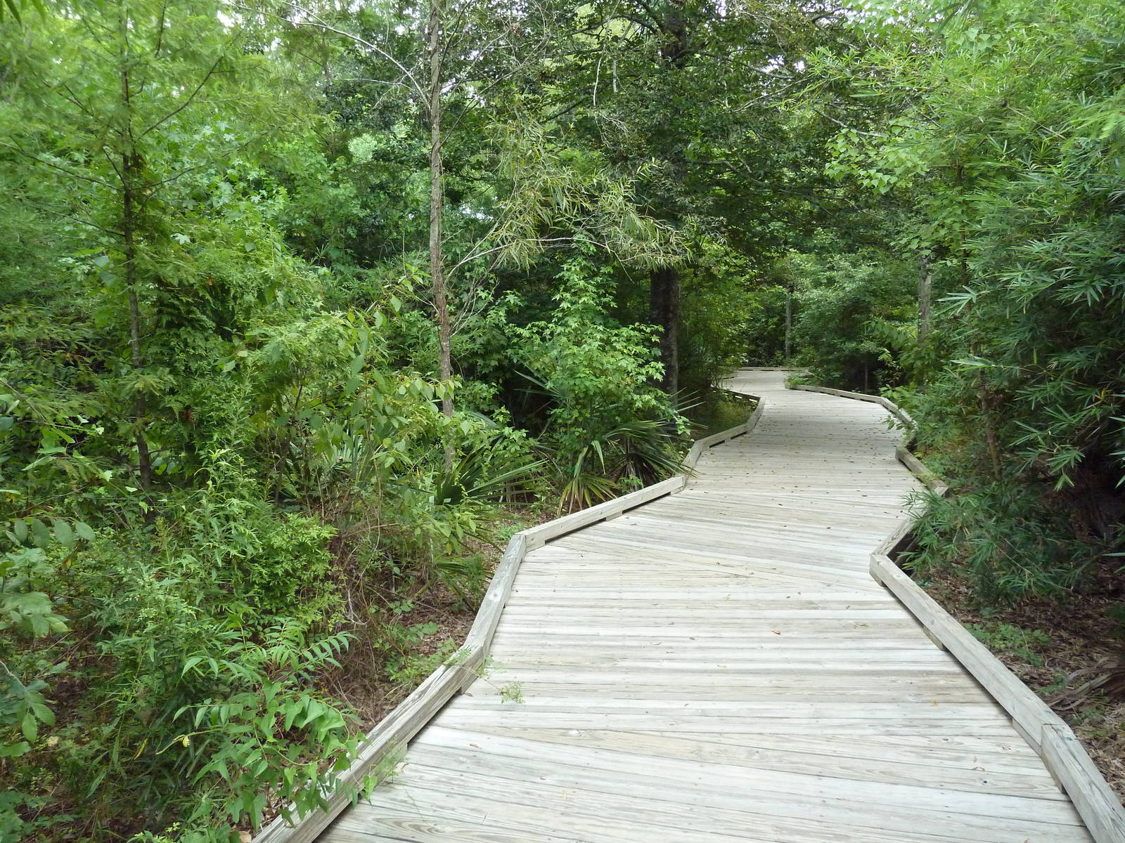 Baton Rouge Zoo - Boardwalk To River Otter Exhibit