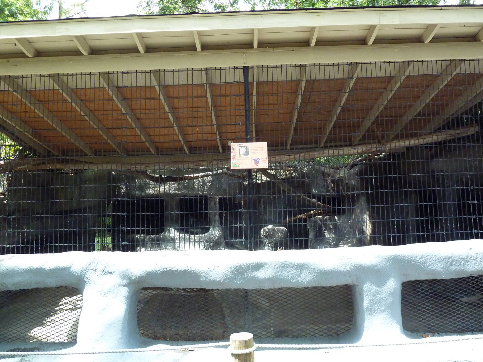 Baton Rouge Zoo - Bobcat Exhibit