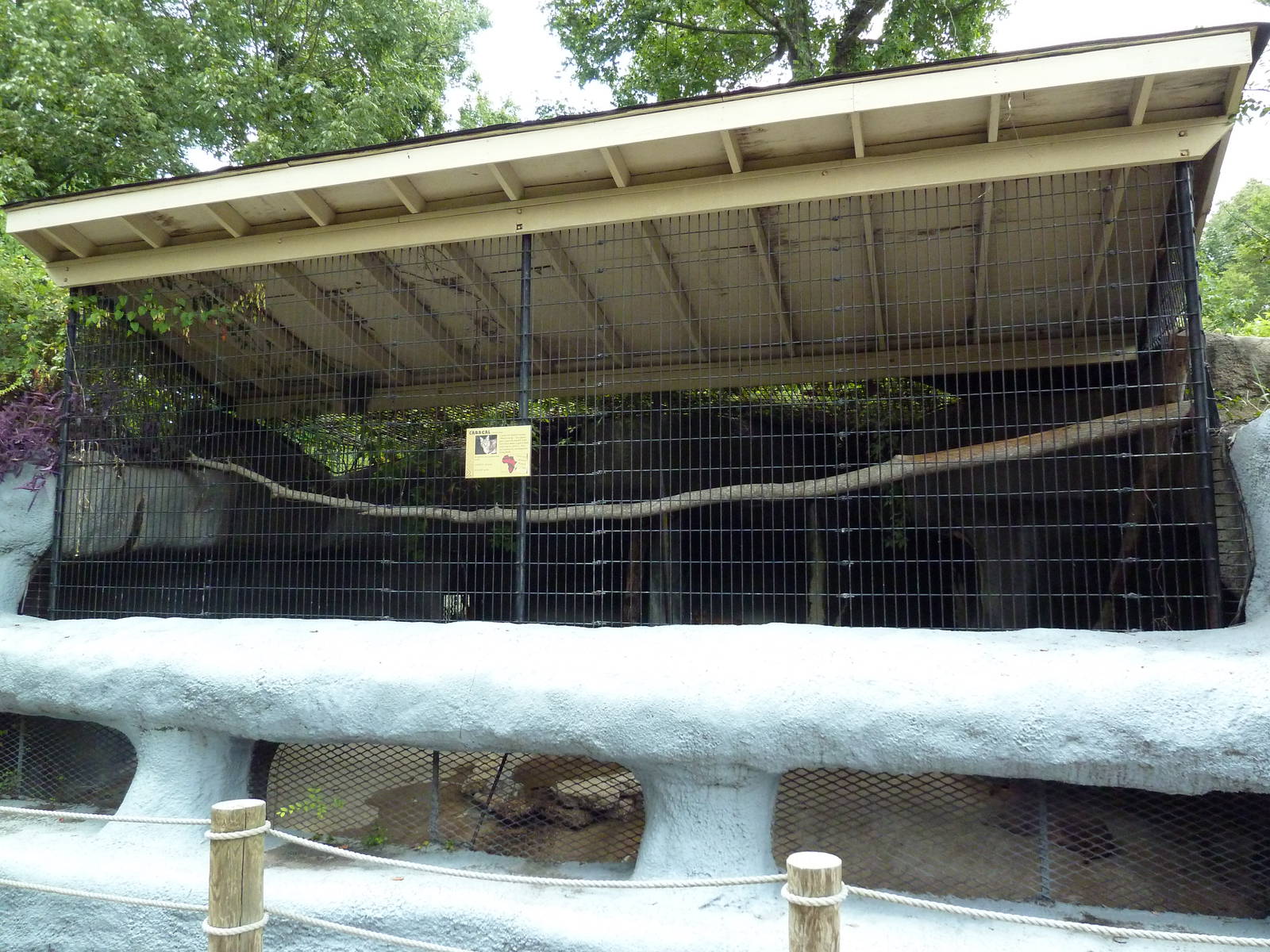 Baton Rouge Zoo - Caracal Exhibit