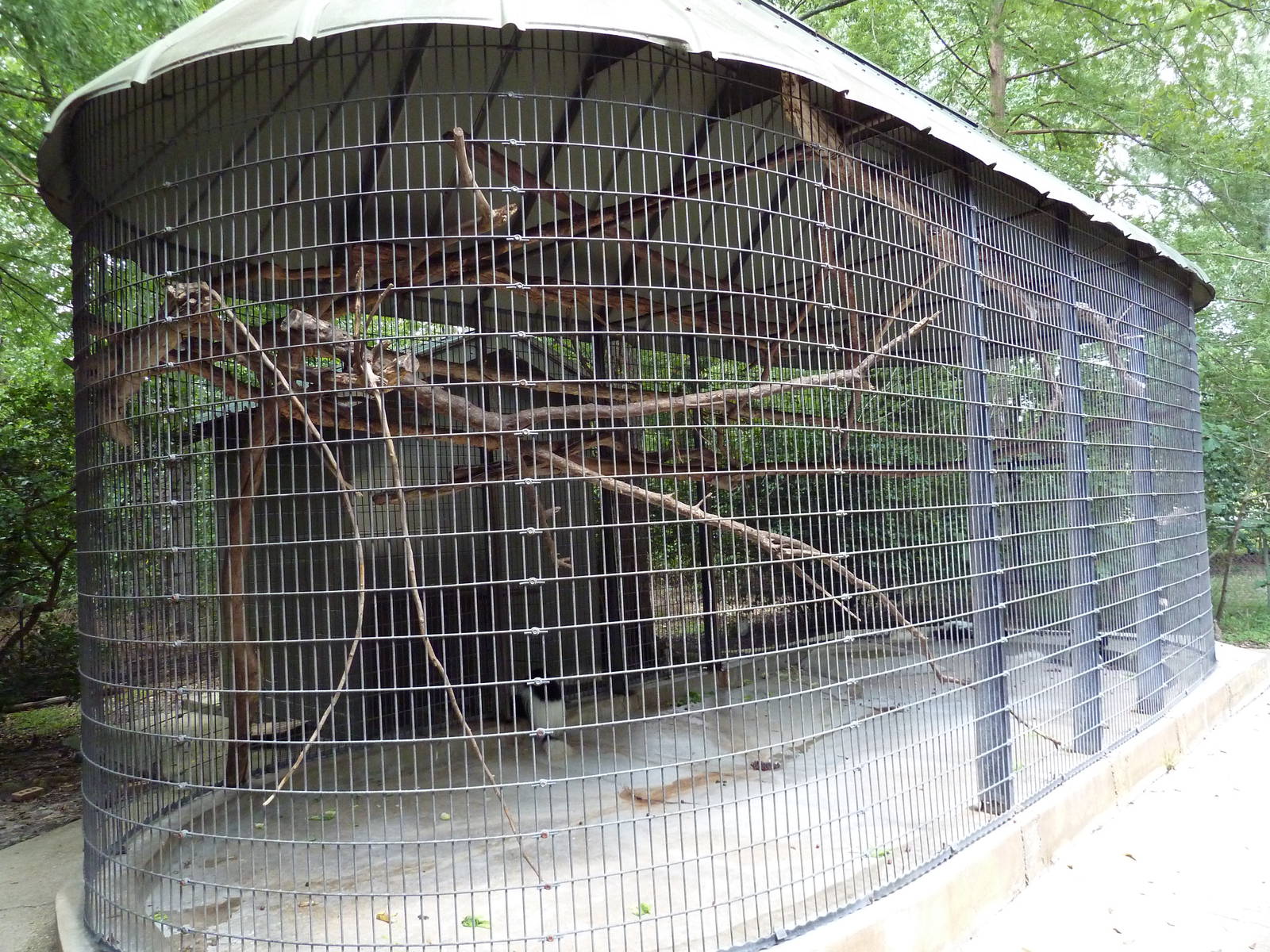 Baton Rouge Zoo - Colobus Monkey Exhibit