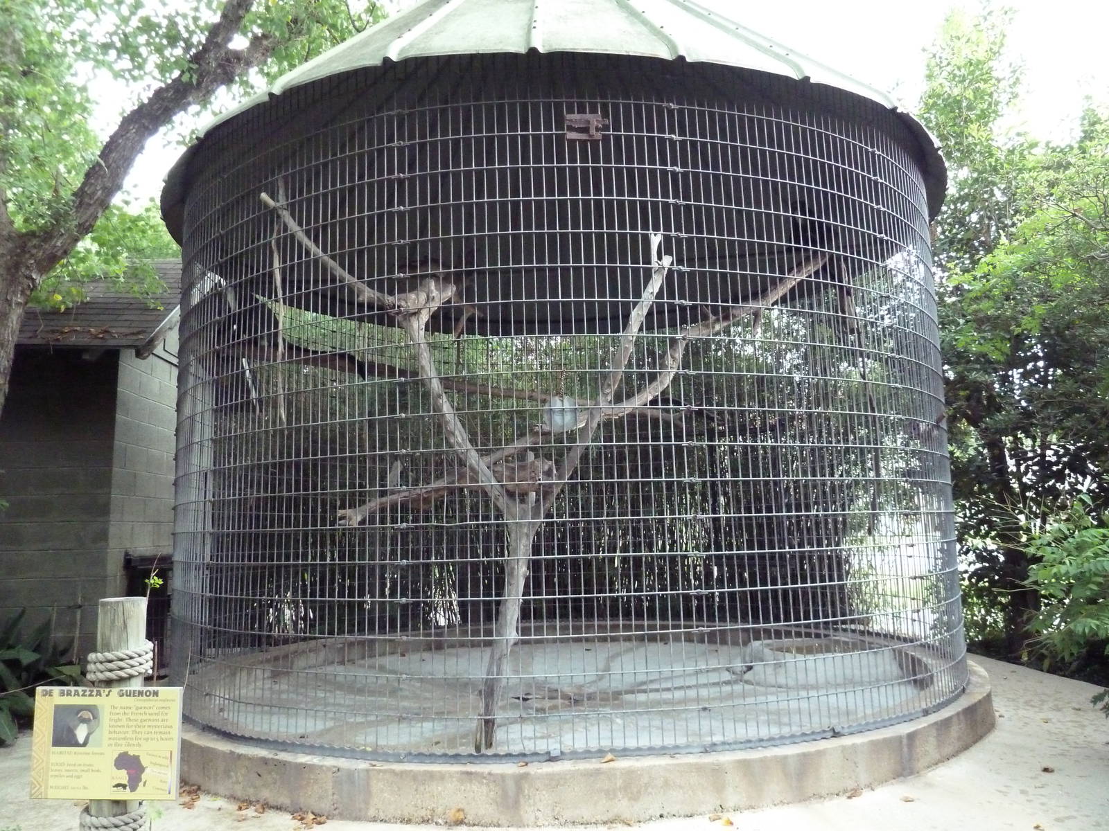 Baton Rouge Zoo - DeBrazza's Guenon Corn Crib Cage