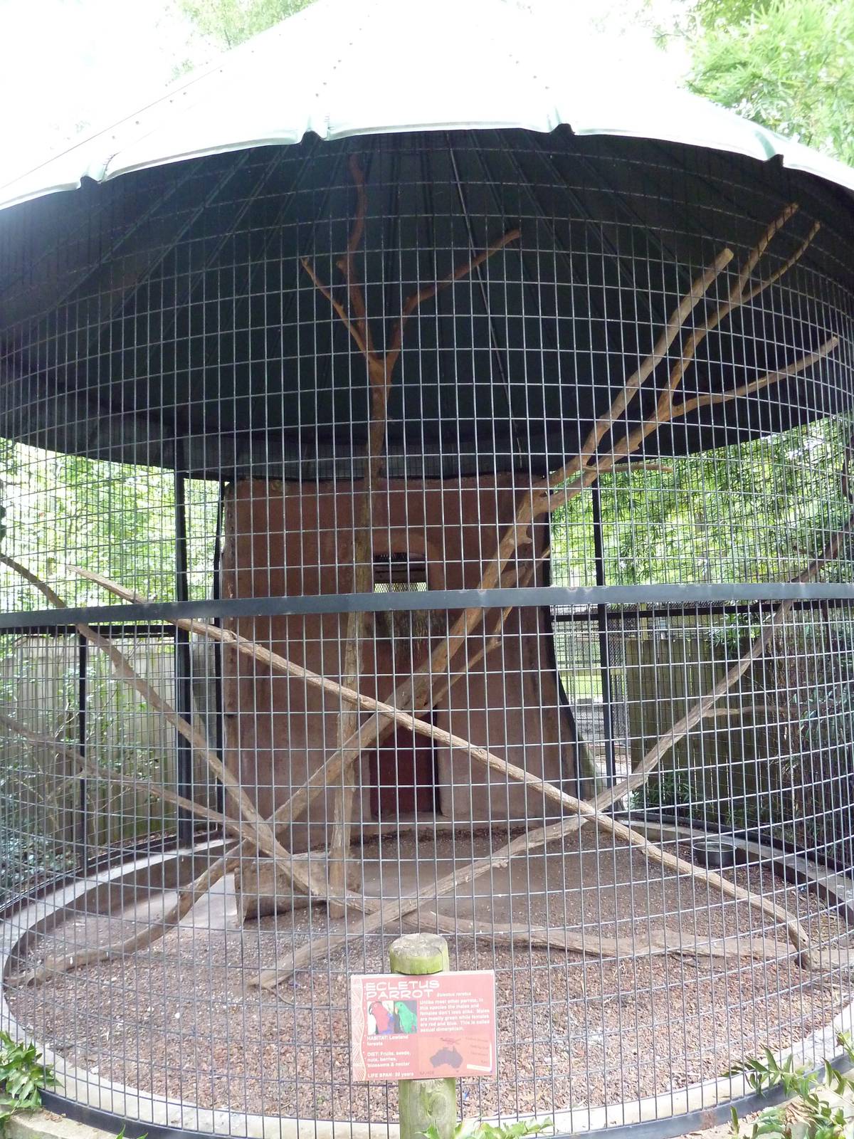 Baton Rouge Zoo - Ecletus Parrot Corn-Crib Cage