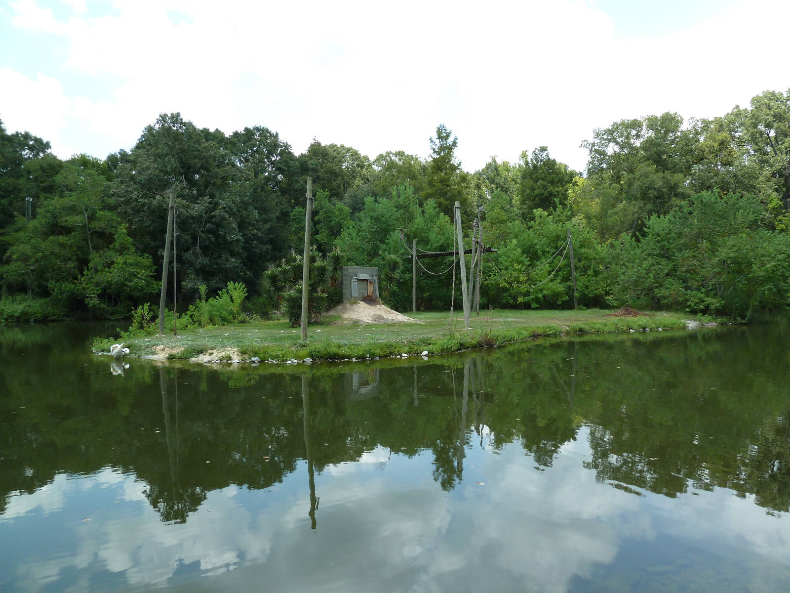 Baton Rouge Zoo - Empty Primate Island