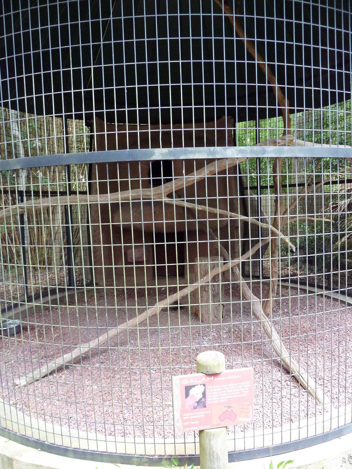 Baton Rouge Zoo - Galah Corn-Crib Cage