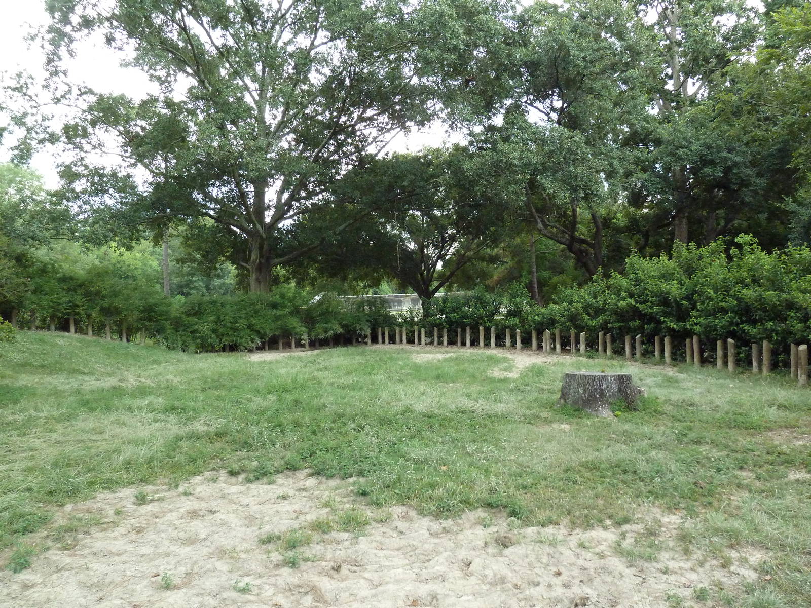 Baton Rouge Zoo - Galapagos + Aldabra Tortoise Exhibit