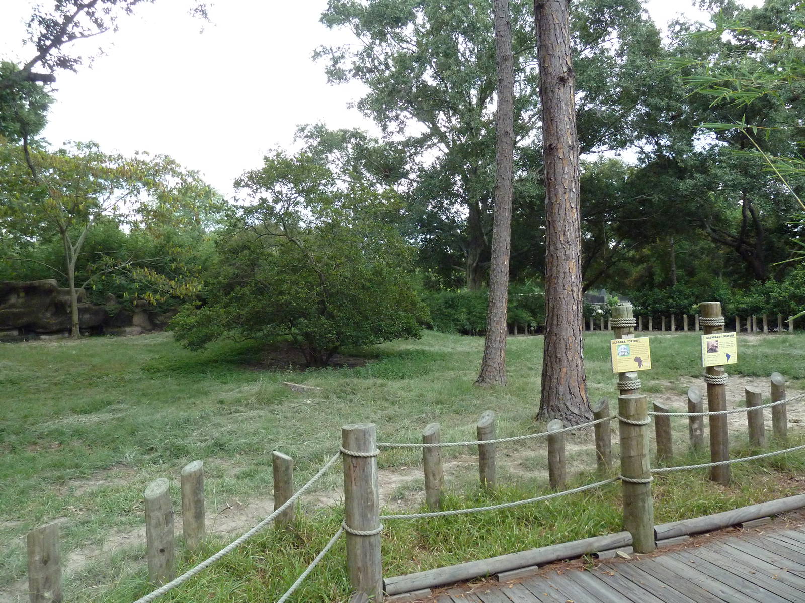 Baton Rouge Zoo - Galapagos + Aldabra Tortoise Exhibit