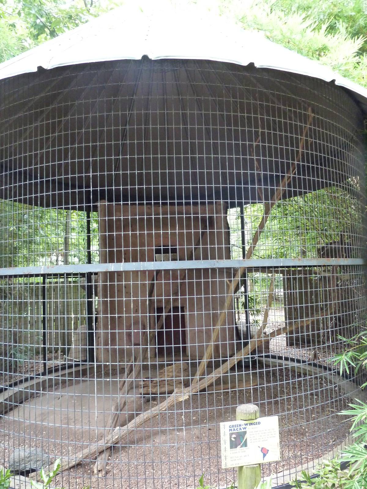 Baton Rouge Zoo - Green-Winged Macaw Corn-Crib Cage